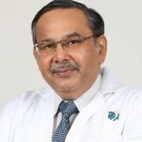 الدكتورة البروفيسورة روهيني هاندا